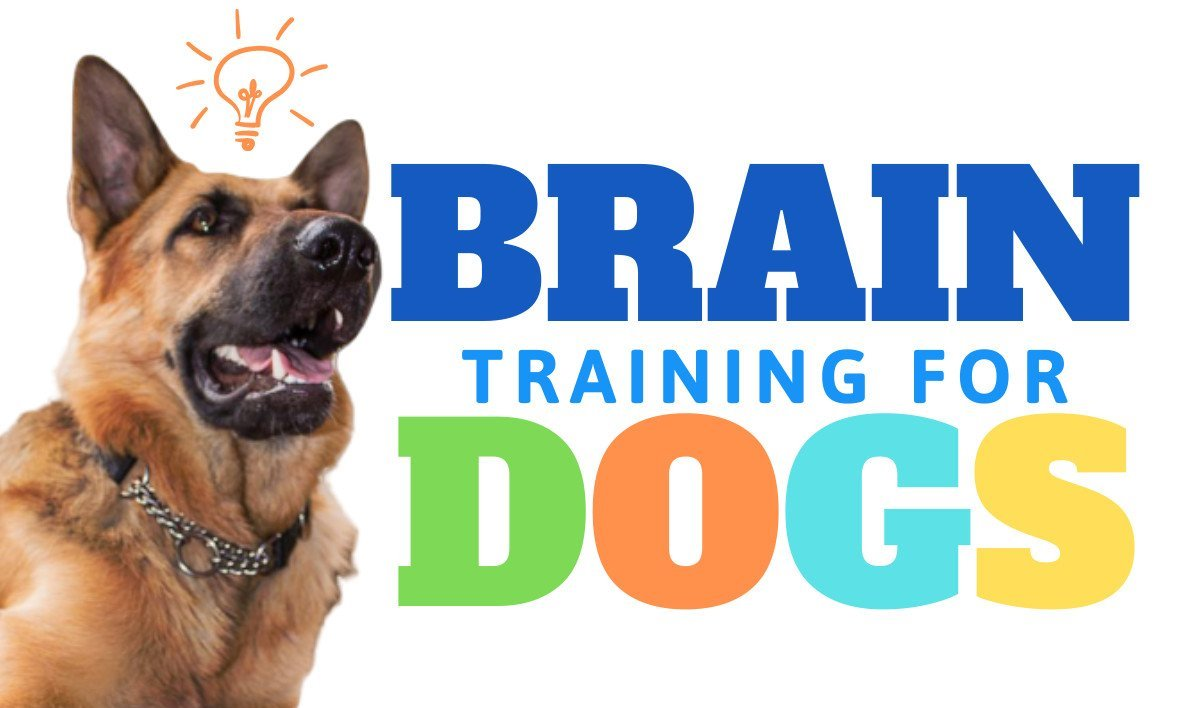 Brain Training for Dogs